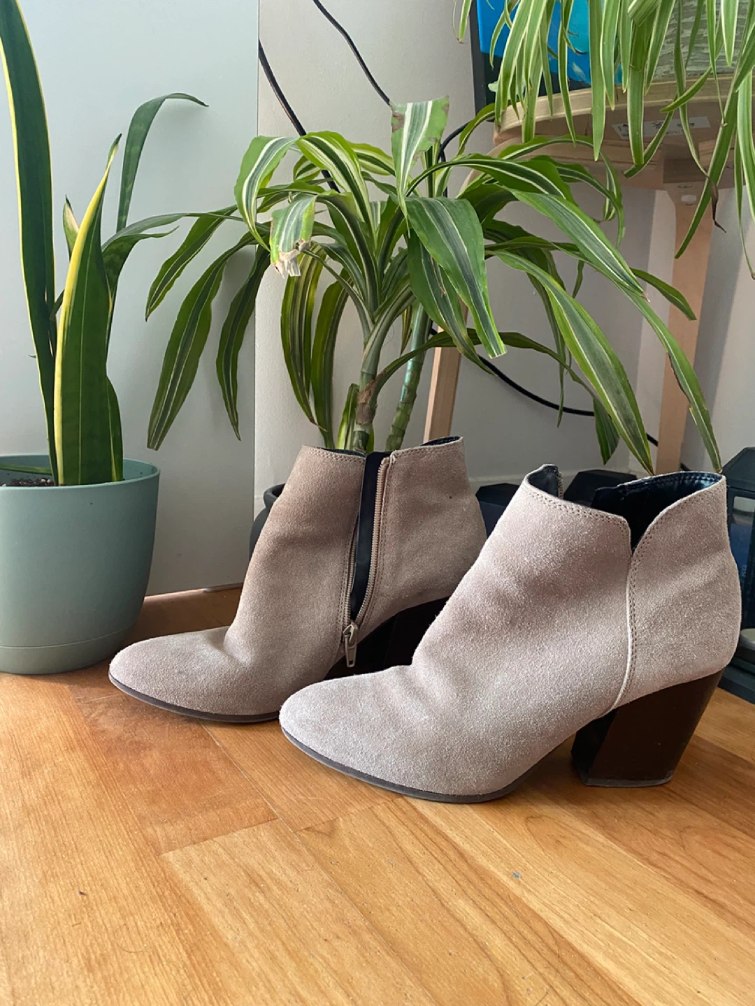 ALDO Suede Ankle Boots