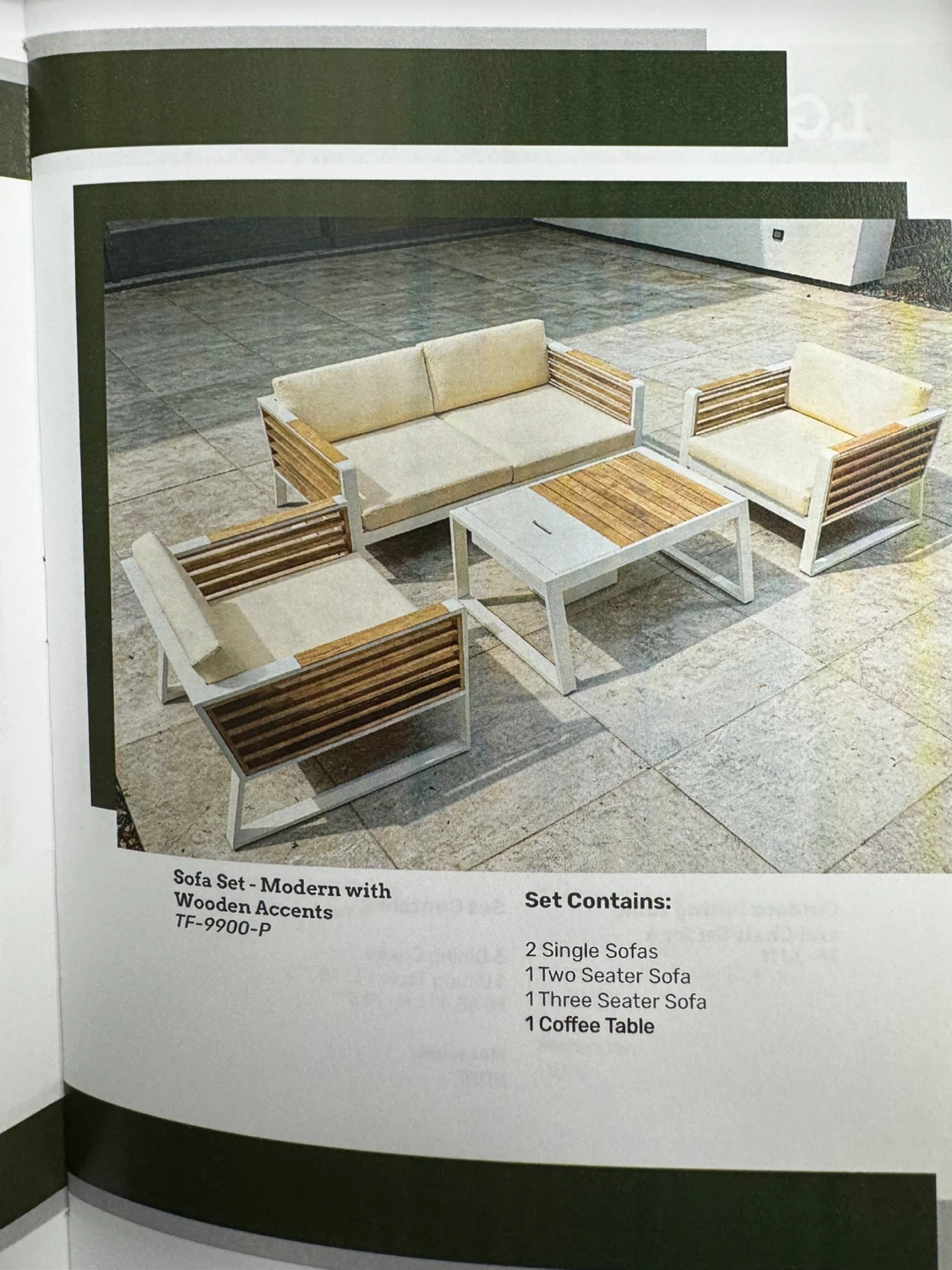 Modern Sofa Set with Wooden Accents