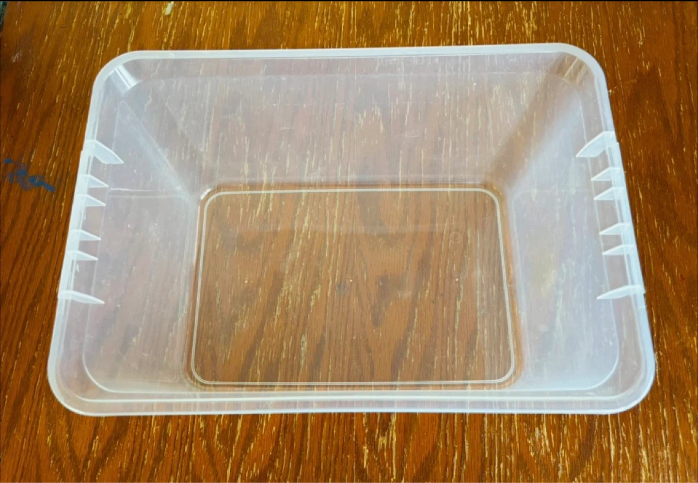 Clear Plastic Container - photo 2