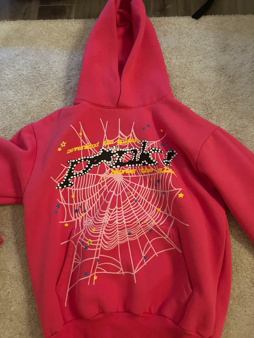 Pink Spiderweb Graphic Hoodie