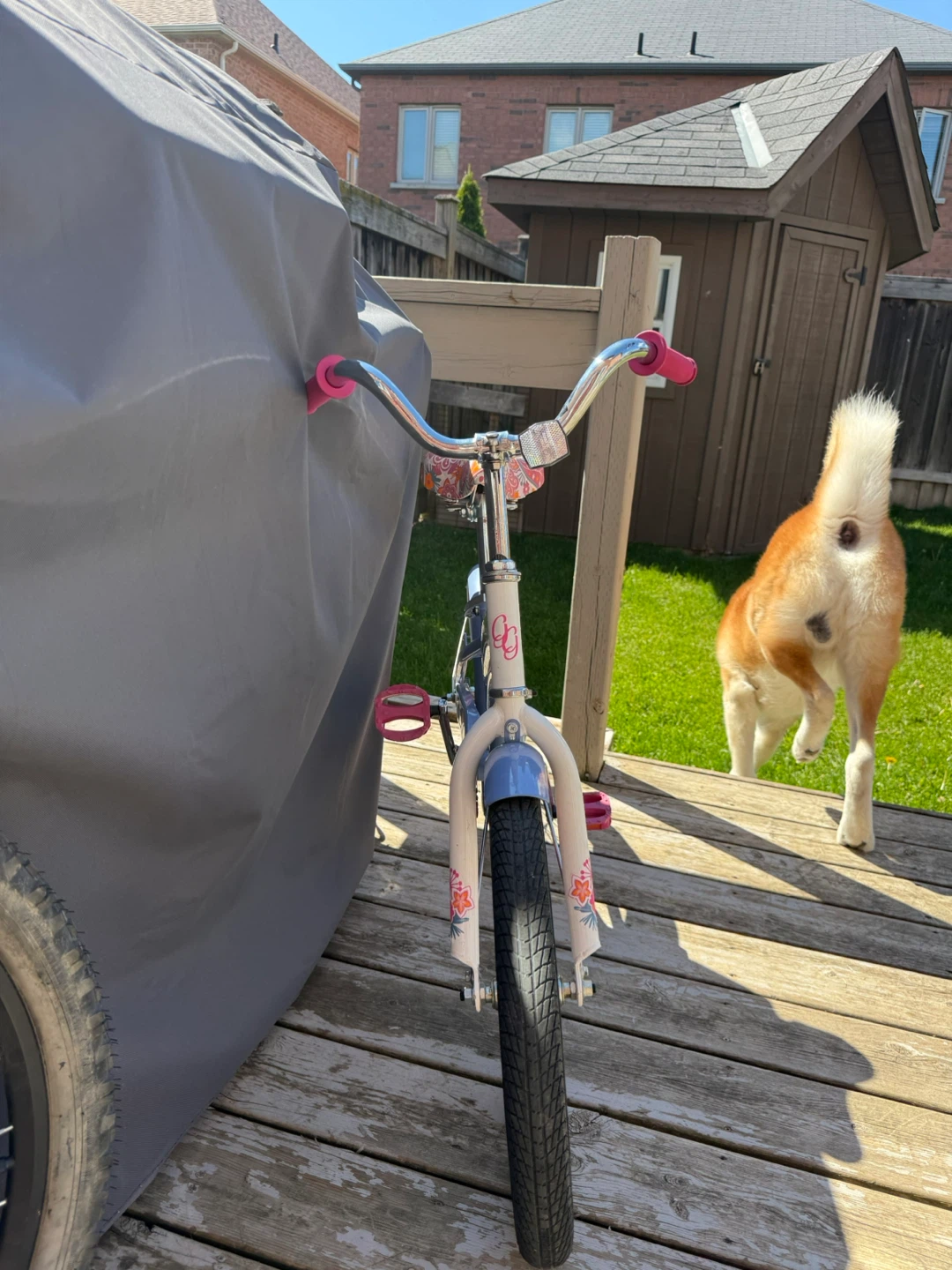Girls Bicycle - photo 2