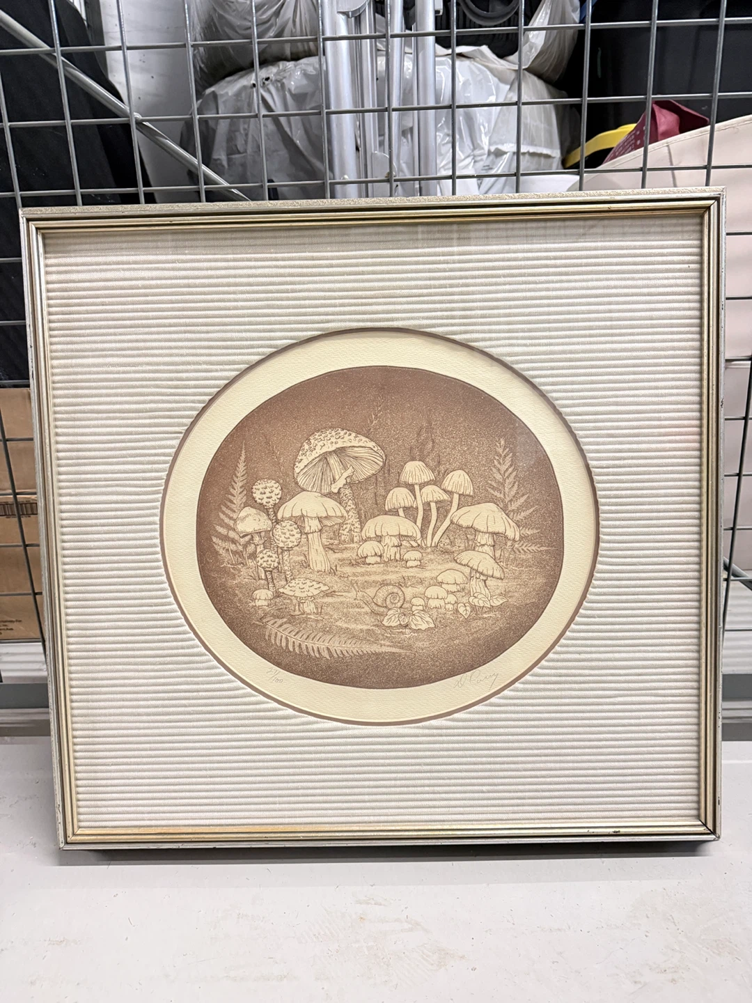 Framed Mushroom Art Print