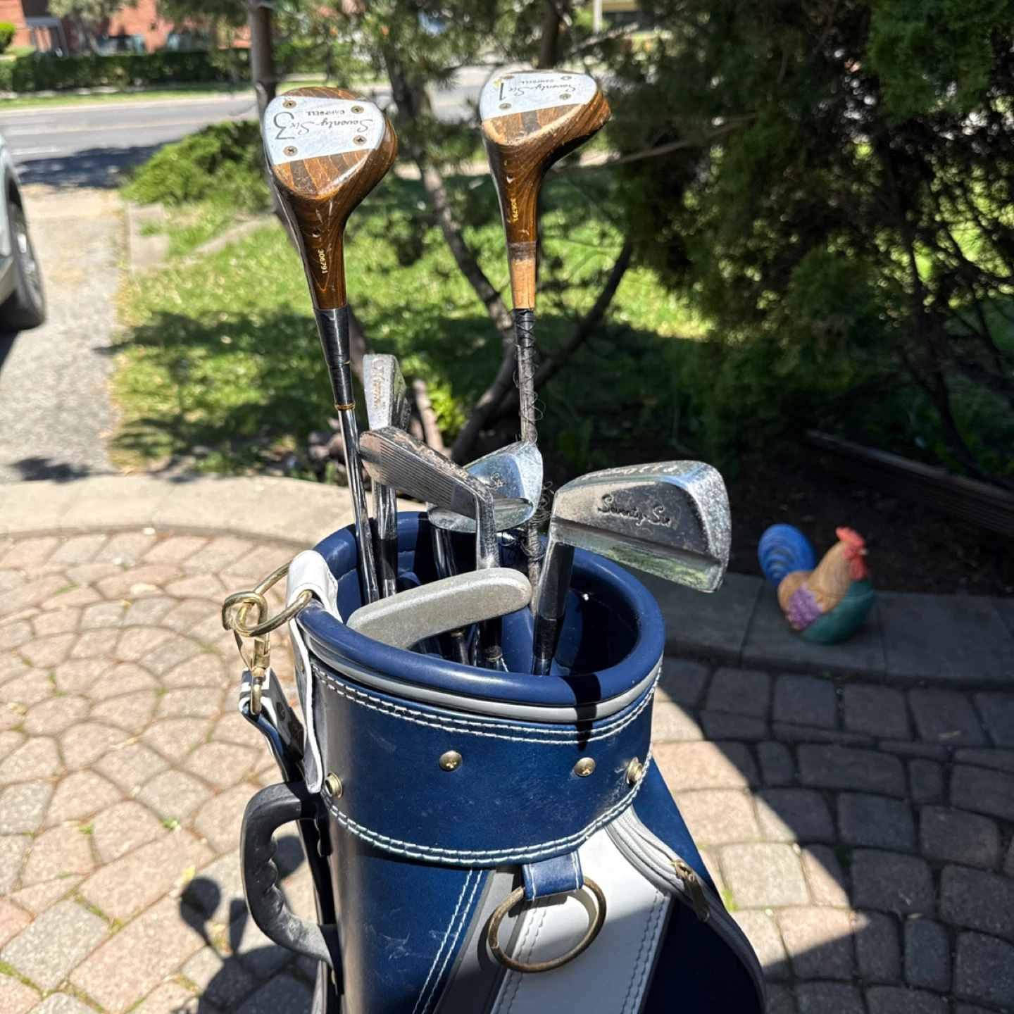 SmithKline Beecham Golf Bag with Clubs - photo 5