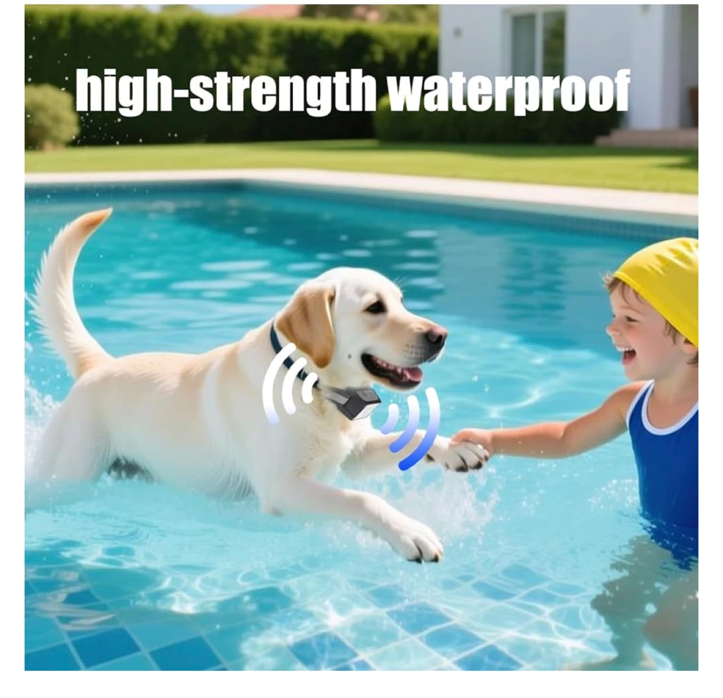 Dotstar pet intelligence wireless dog fence system - photo 4