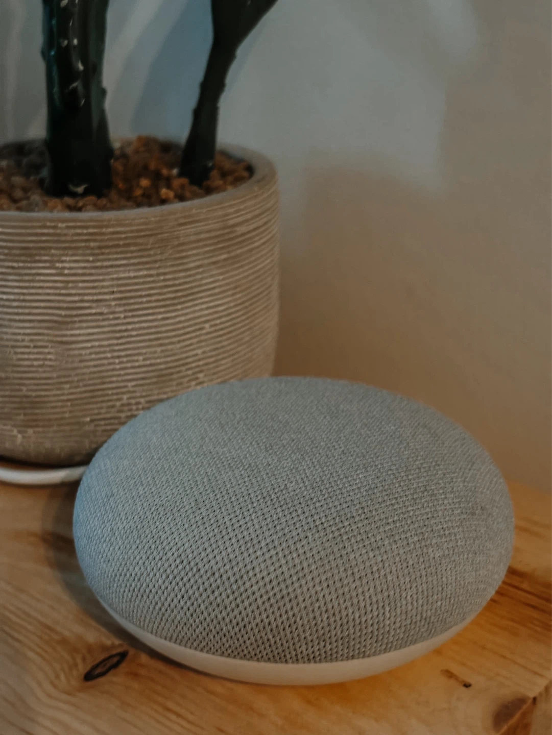 Google Nest Mini Smart Speaker - Charcoal