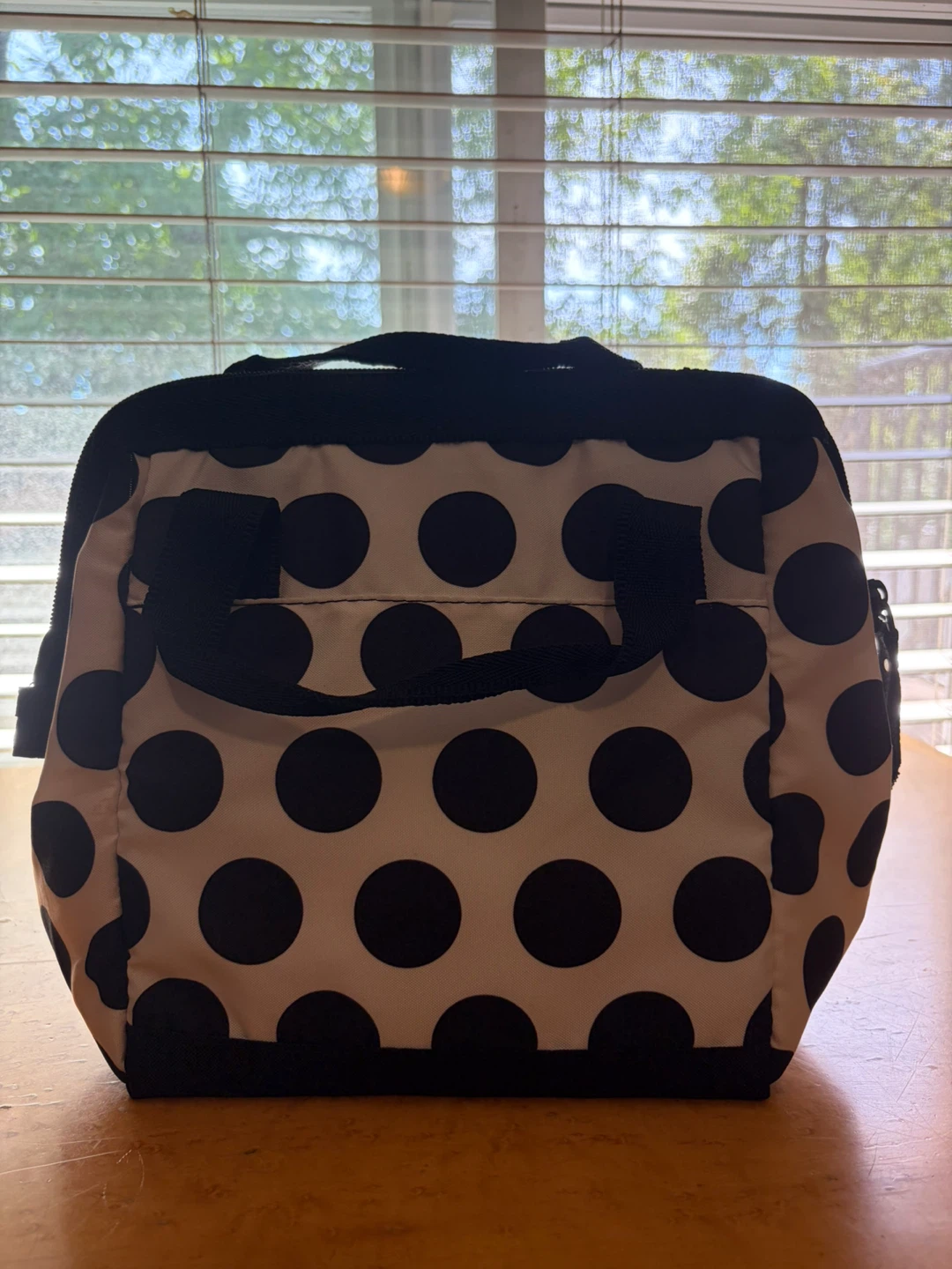 Ultra Safe Polka Dot Lunch Bag - photo 5