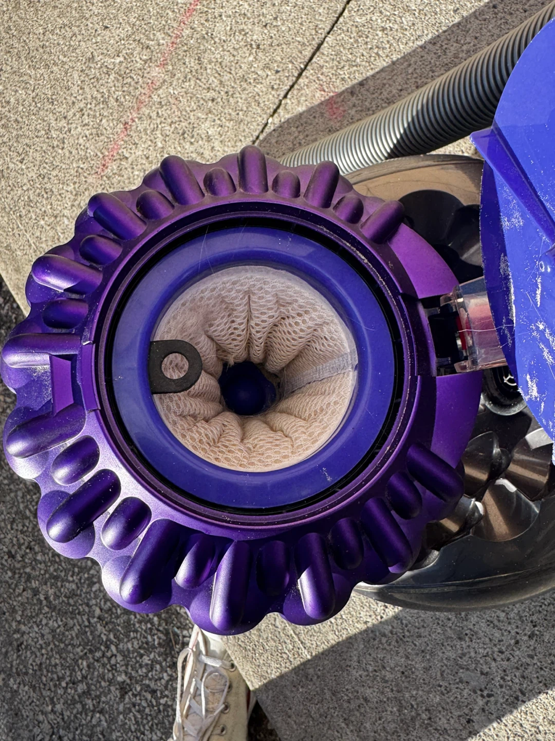 Dyson big ball animal 2 canister Vacuum - photo 4
