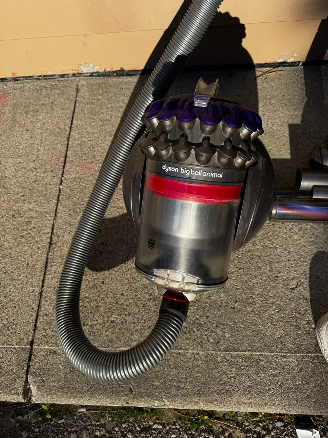Dyson big ball animal 2 canister Vacuum