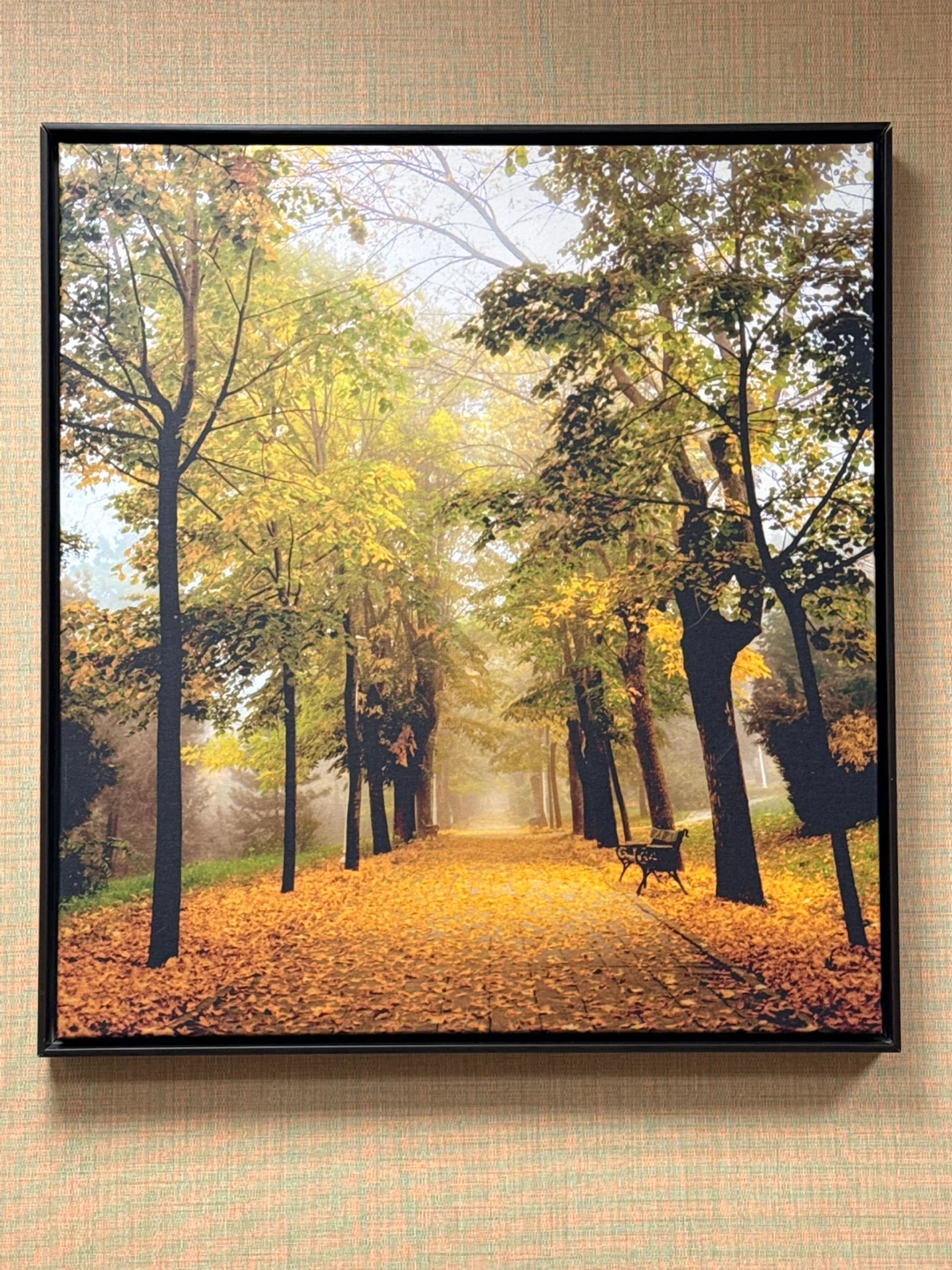 Framed Canvas Print - Autumn Park Scene