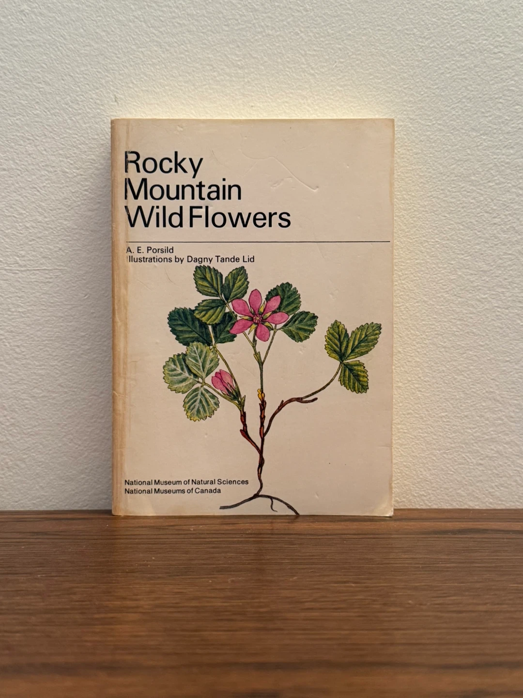 Rocky Mountain Wild Flowers Book