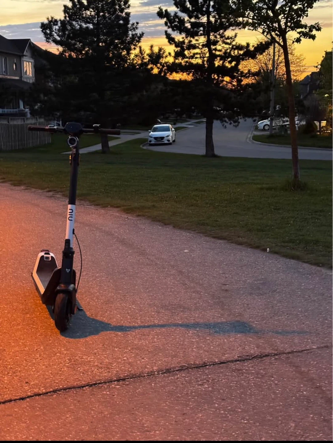 NIU Electric Scooter