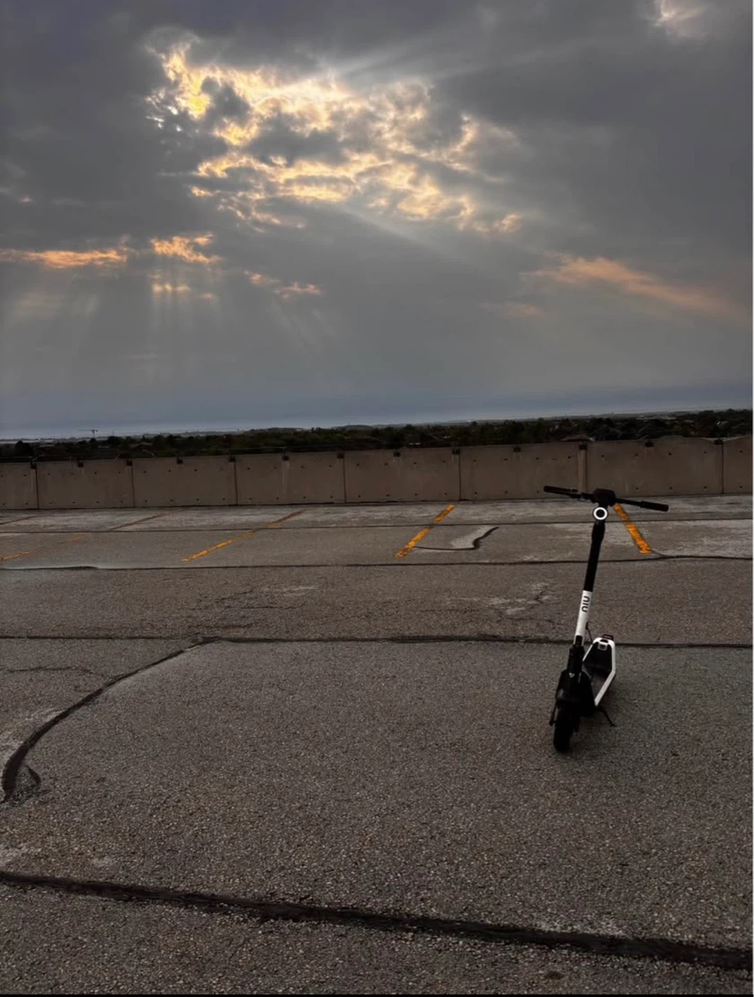 NIU Electric Scooter - photo 5