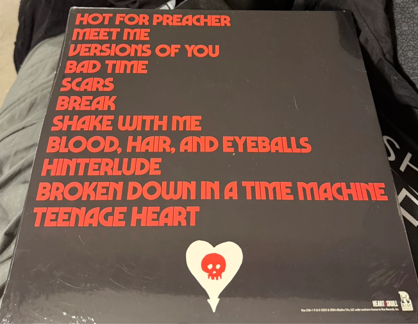 ✨ Alkaline Trio Blood, Hair, and Eyeballs Maroon Vinyl Record - photo 2