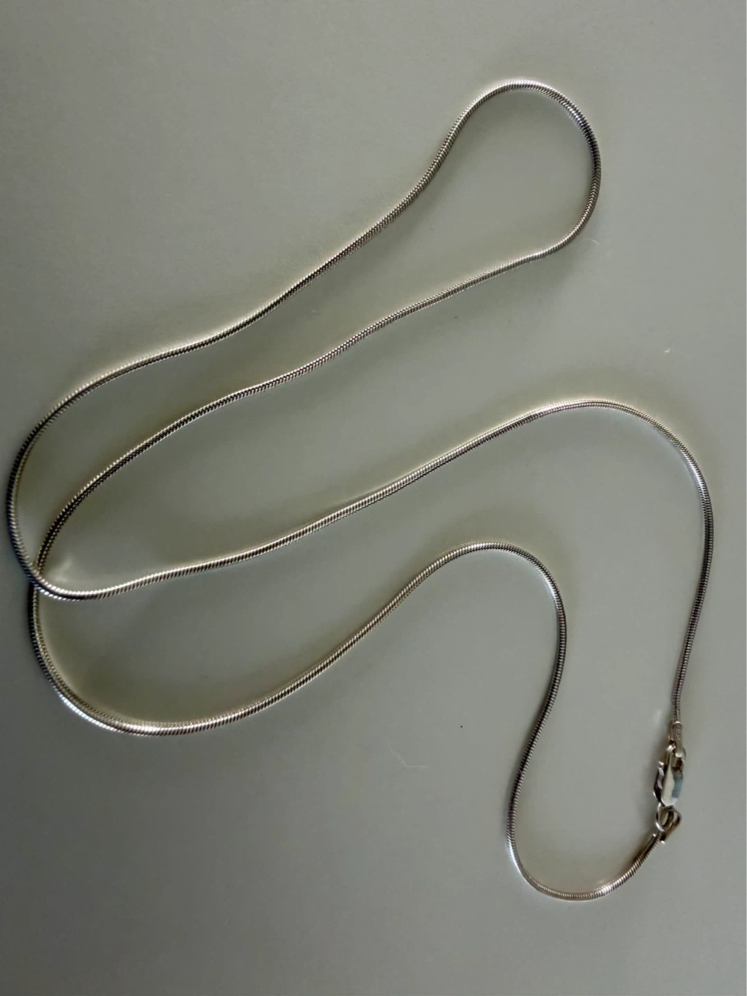 Silver Snake Chain Necklace