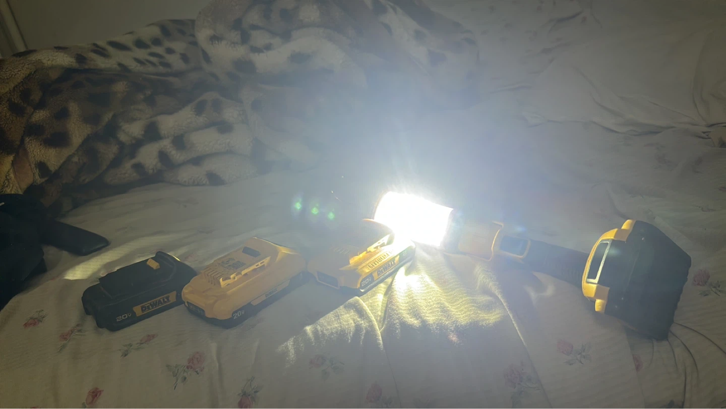 DEWALT 20V MAX Lithium Ion Battery Lot & Work Light - photo 2