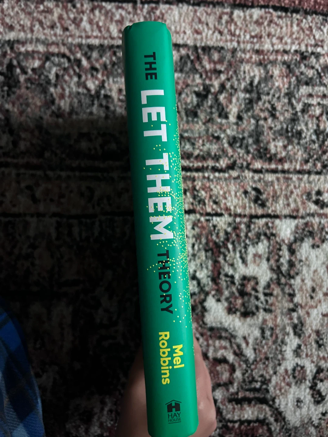 The Let Them Theory by Mel Robbins - photo 3