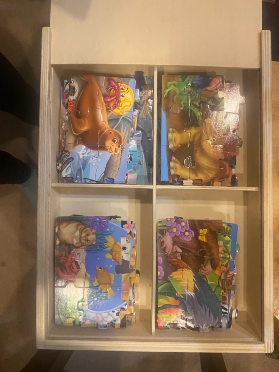 4-Piece Wooden Puzzles with Storage Case - photo 3