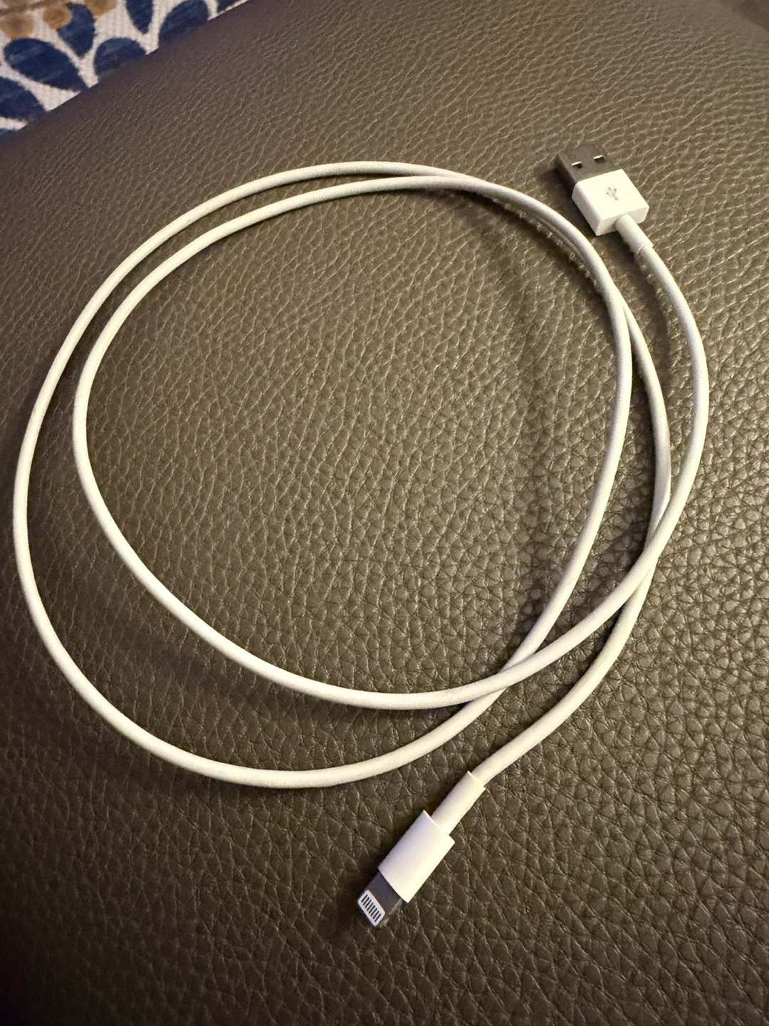 Apple Lightning to USB Cable