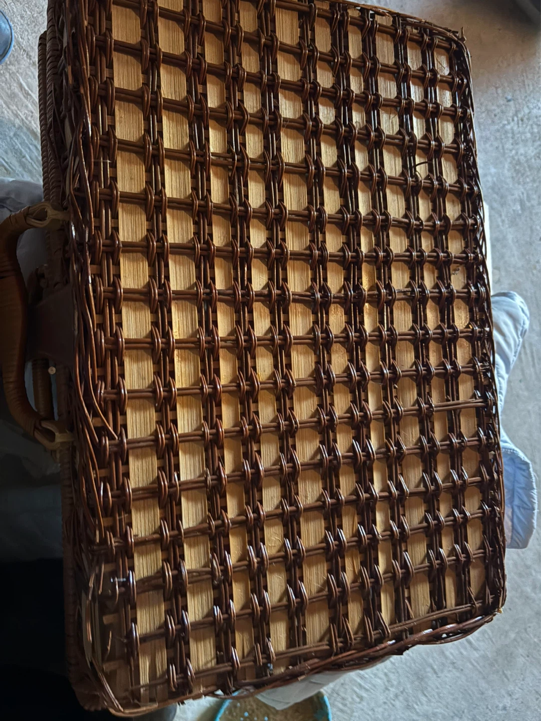 Wicker Picnic Basket with Dragonfly Lining