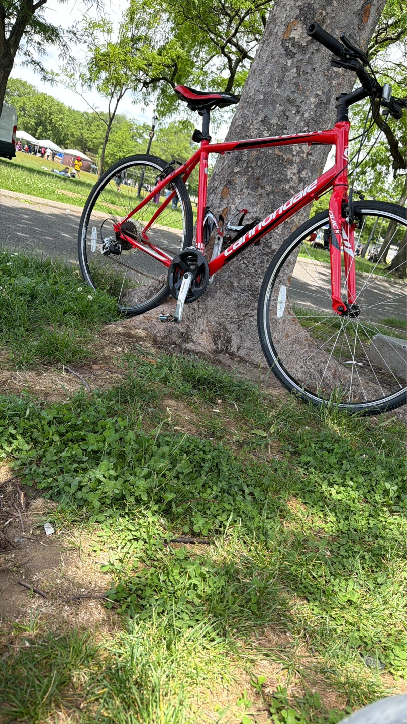 Cannondale Quick Road Bike