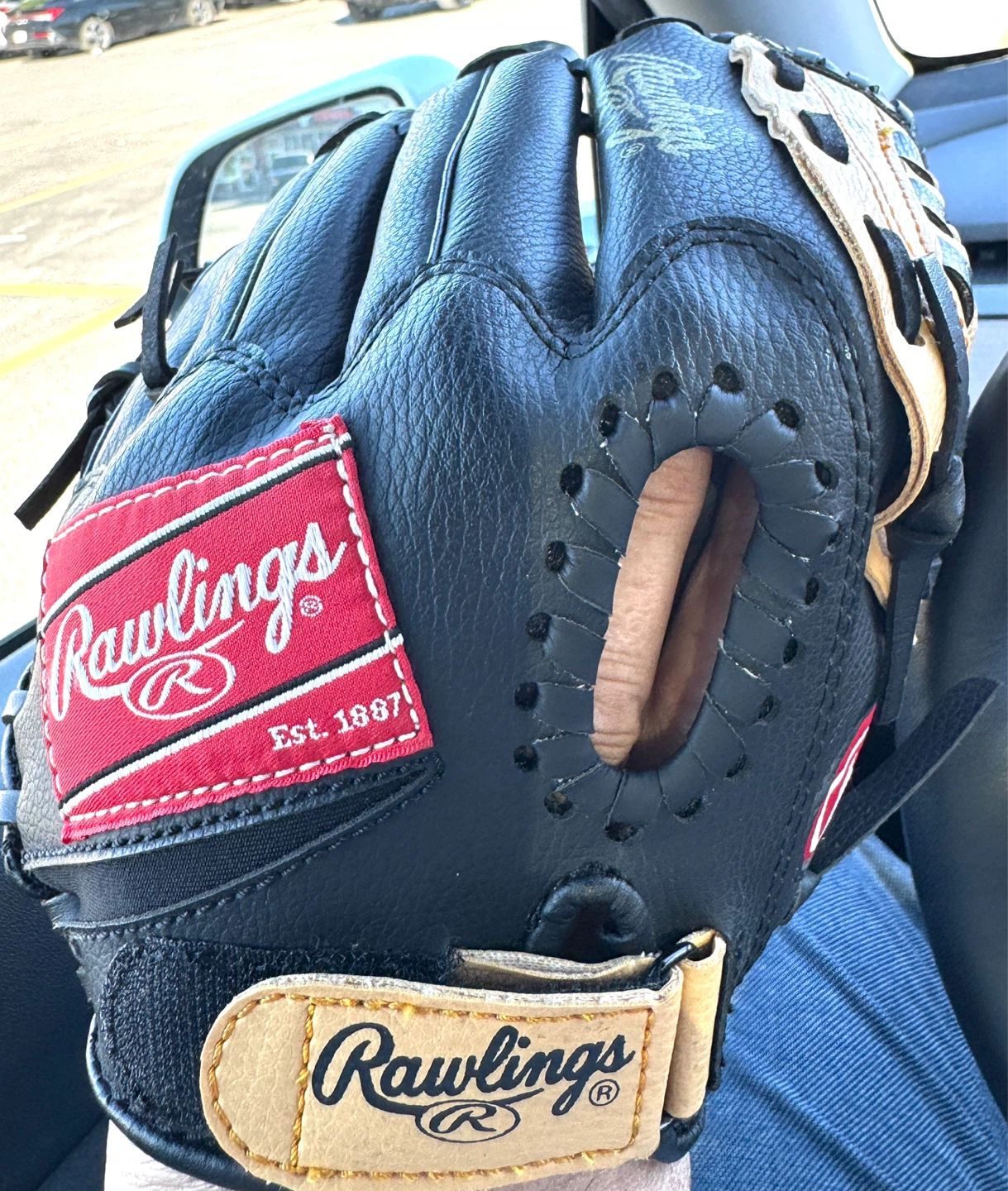 Rawlings PL100C 10 inch Baseball Glove