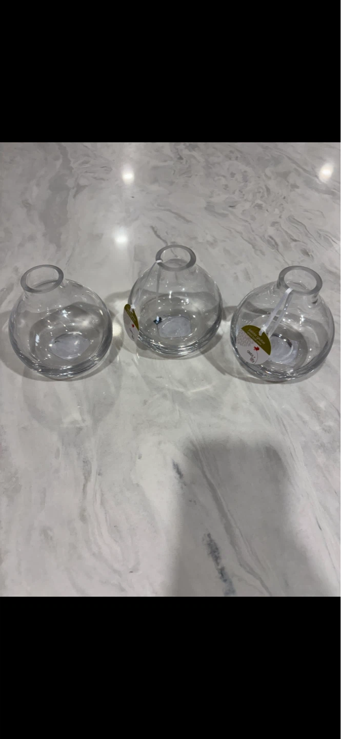 Debi Lilly Petite Globe Glass Bud Vases (Set of 3)