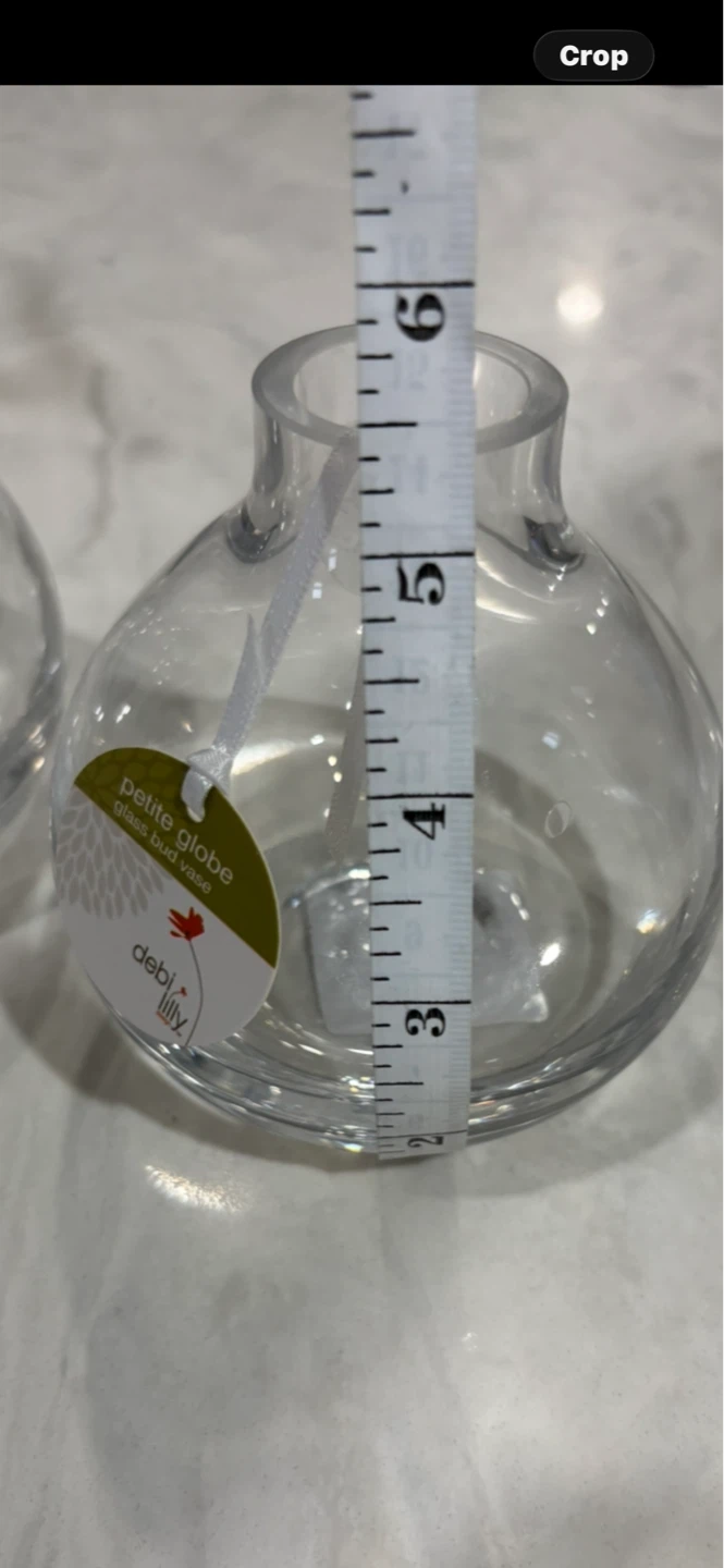 Debi Lilly Petite Globe Glass Bud Vases (Set of 3) - photo 3