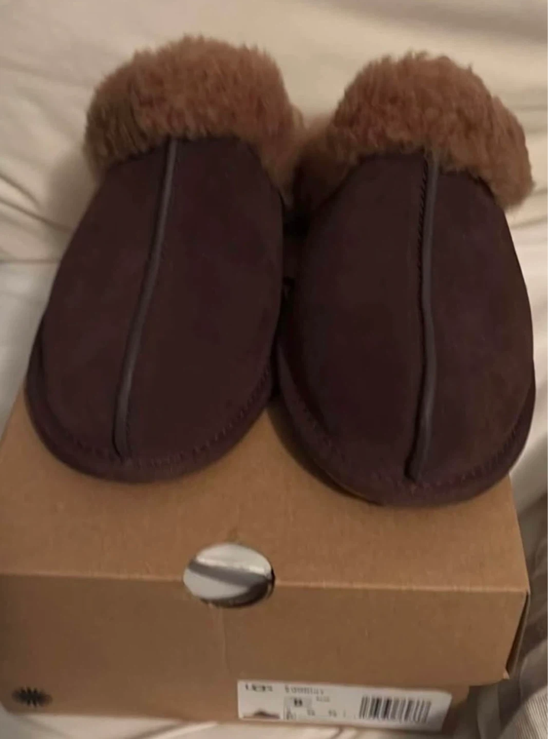 Women Ugg scuffette ll burnt cedar comes with box