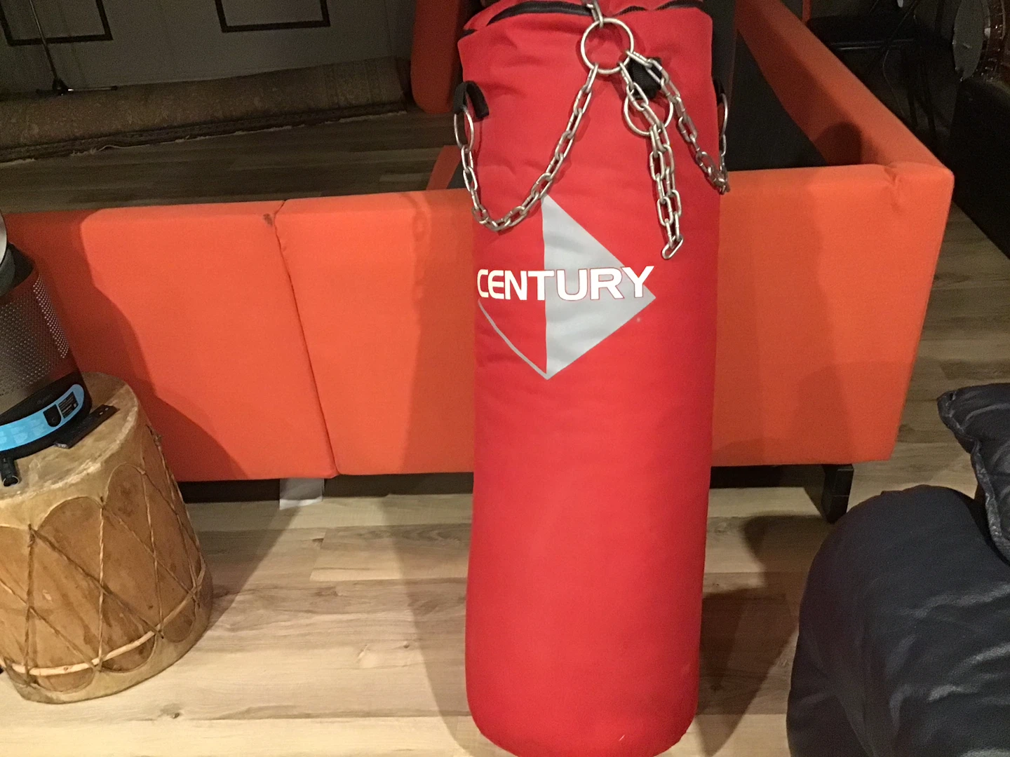 Century Punching Bag