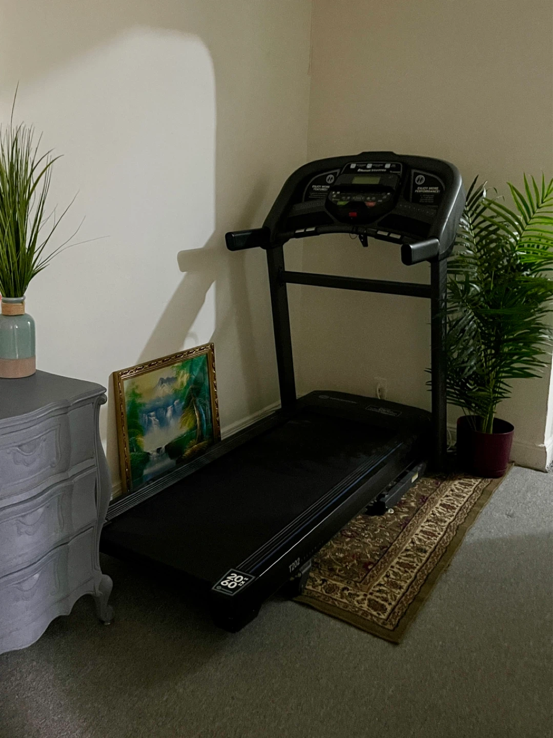 Horizon Treadmill