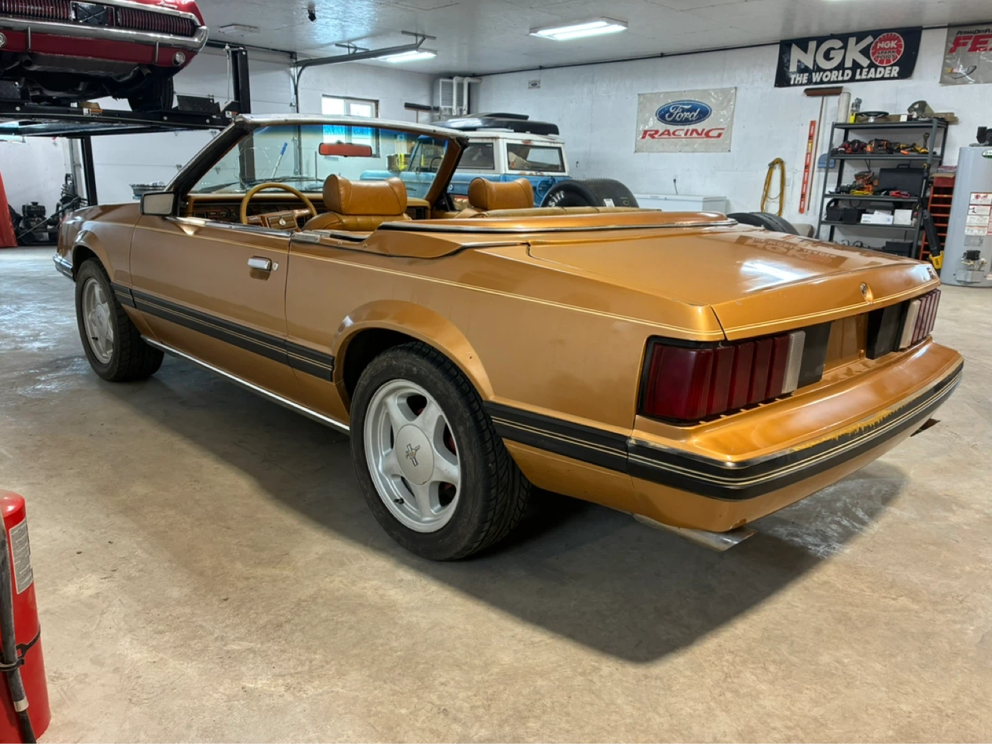 1981 ford mustang V8