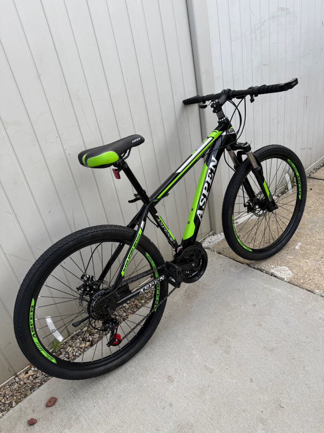 Aspen Super Sport Bike - Black/Green