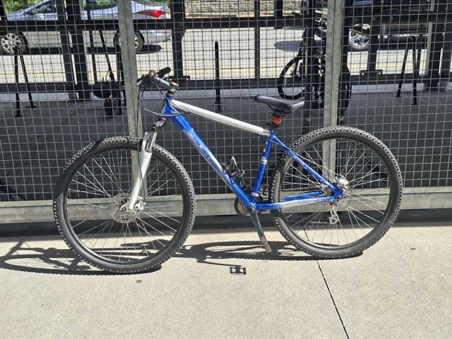 Blue Mountain Bike