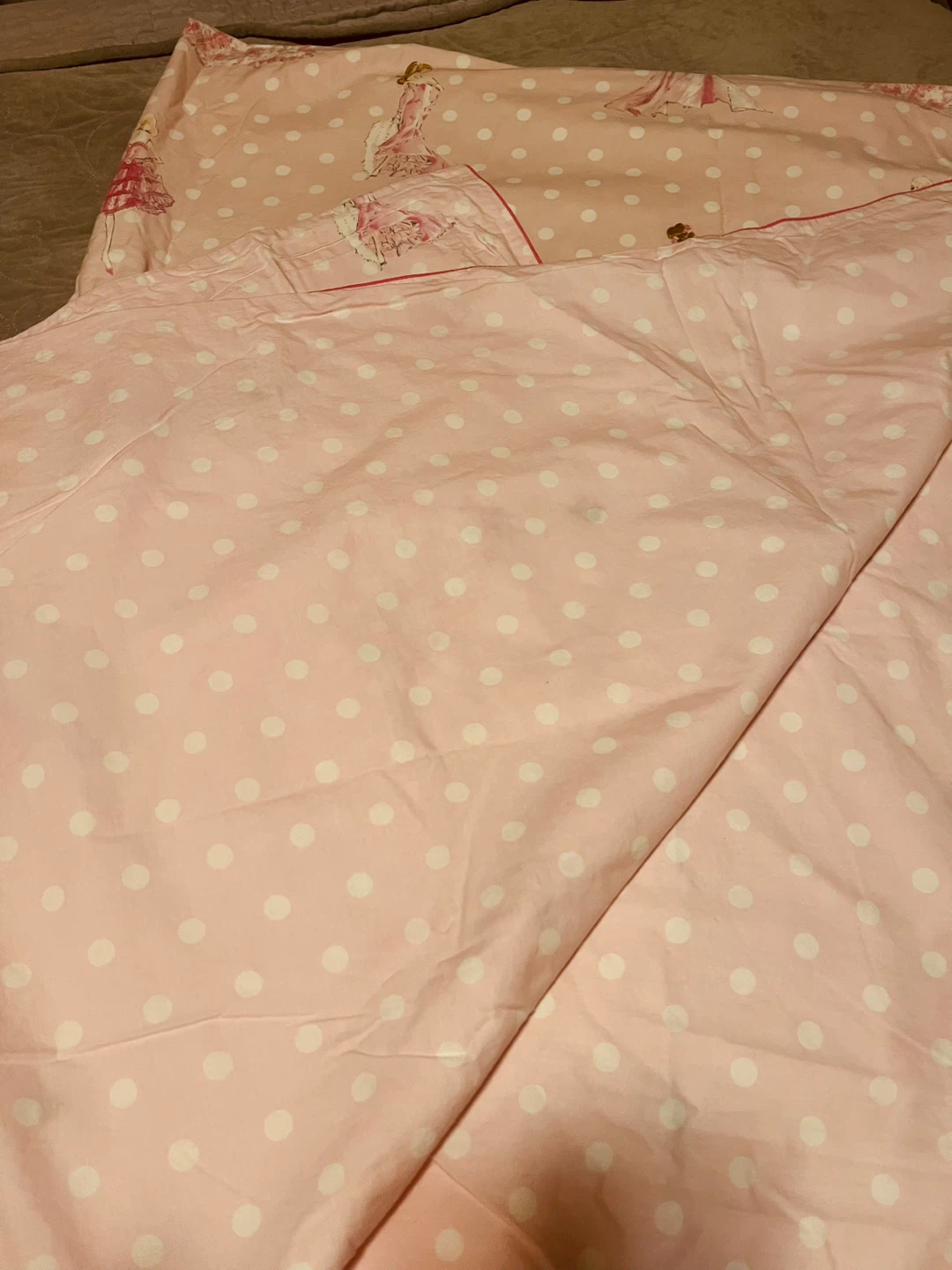 Pottery Barn Kids Barbie Twin Bedding Set - photo 3