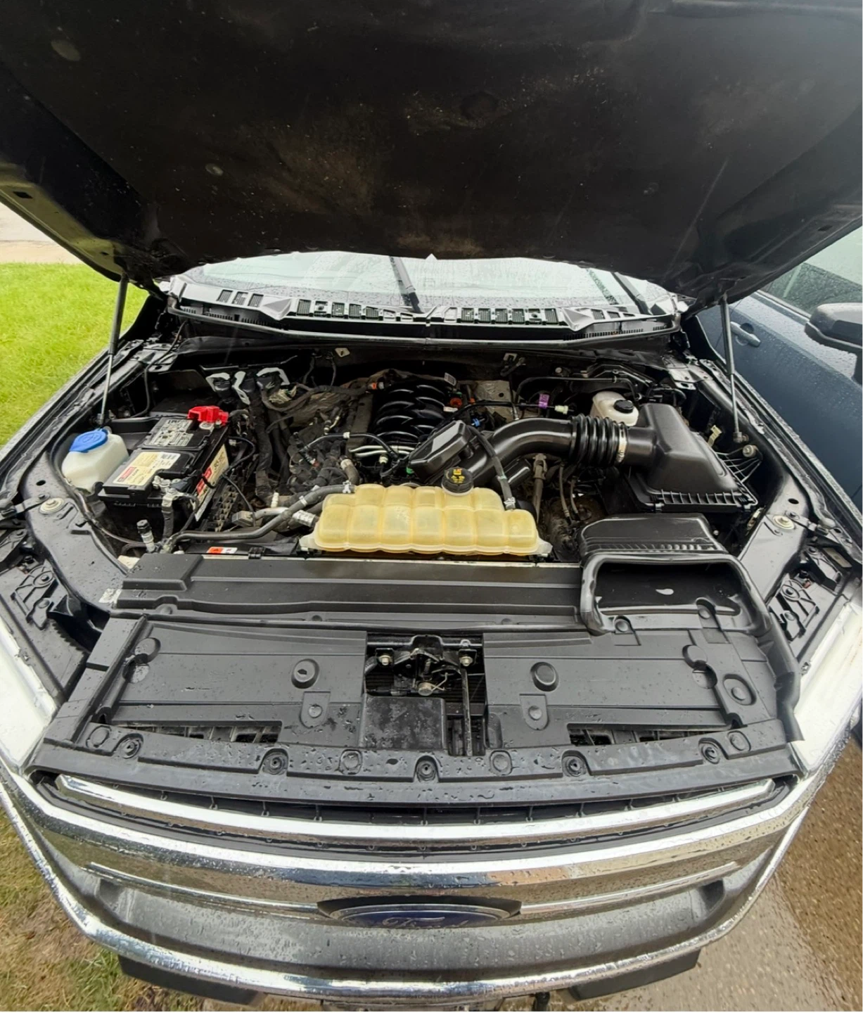 Mint one owner Active F150 xlt 4x4 supercrew 5.0L - photo 2