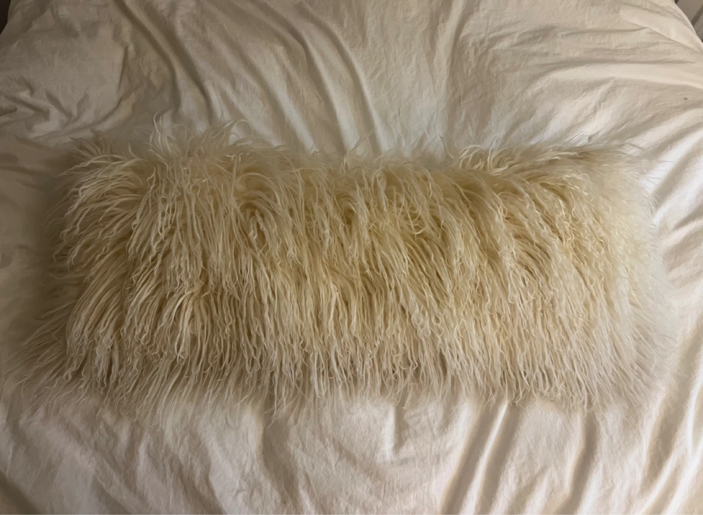 Urban Barn Sheepskin Lumbar Pillow
