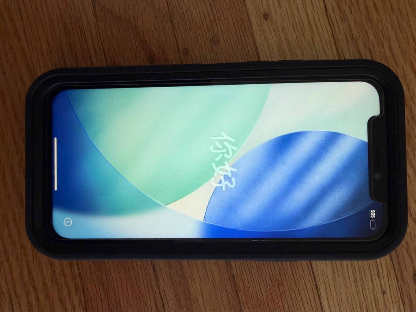 Apple iPhone 12 with Otterbox Case