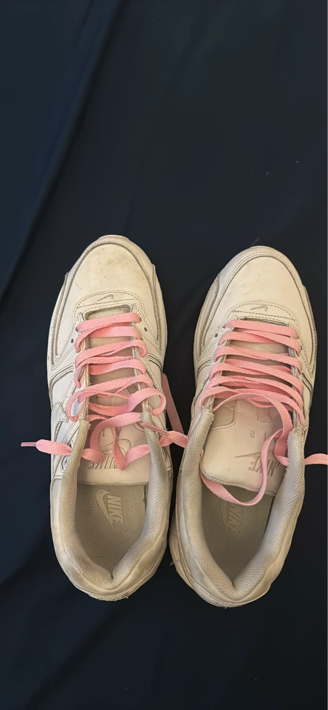 Nike Air Max Sneakers