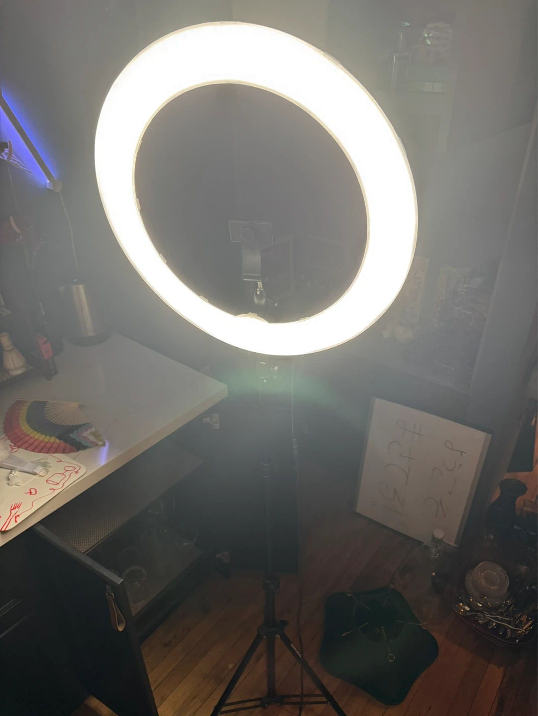 Ring Light with Fully Adjustable Stand
