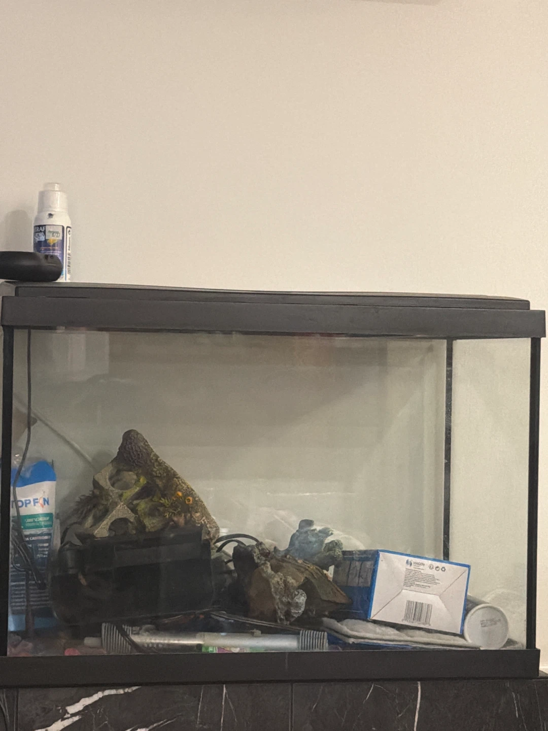 Aquarium with decorations and filter
