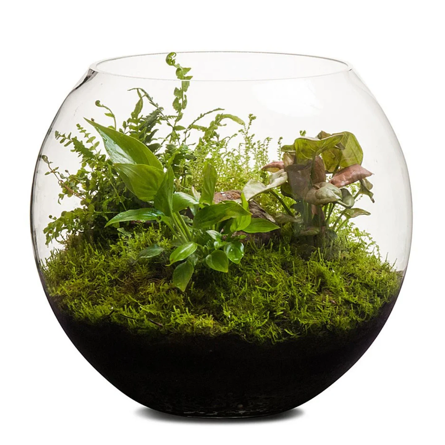 New Anchor-Hocking Glass Fish Bowl Terrarium - photo 3