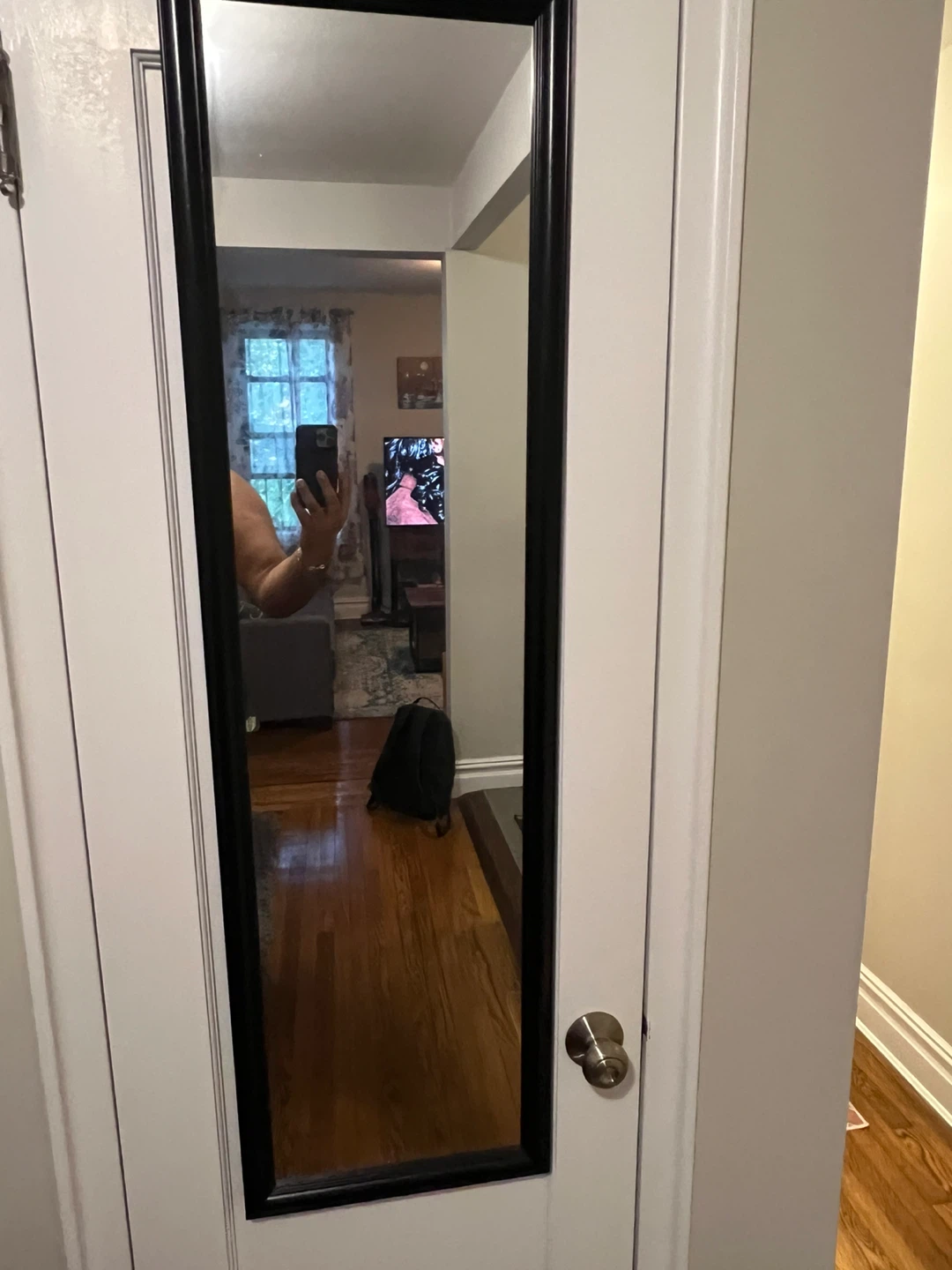 2 Full Length Mirror