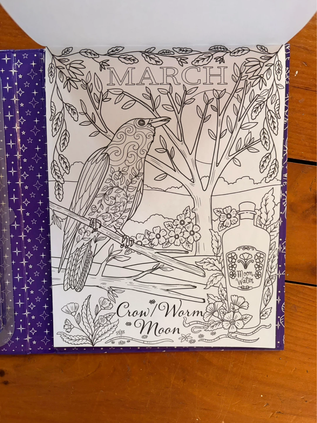 New Zodiac & Lunar Signs Adult Colouring Book Kit - photo 4