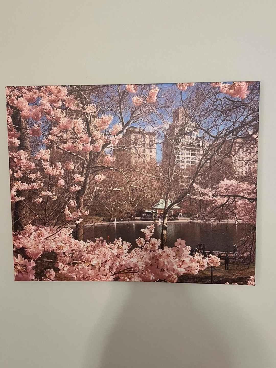 Wall Art Canvas Prints