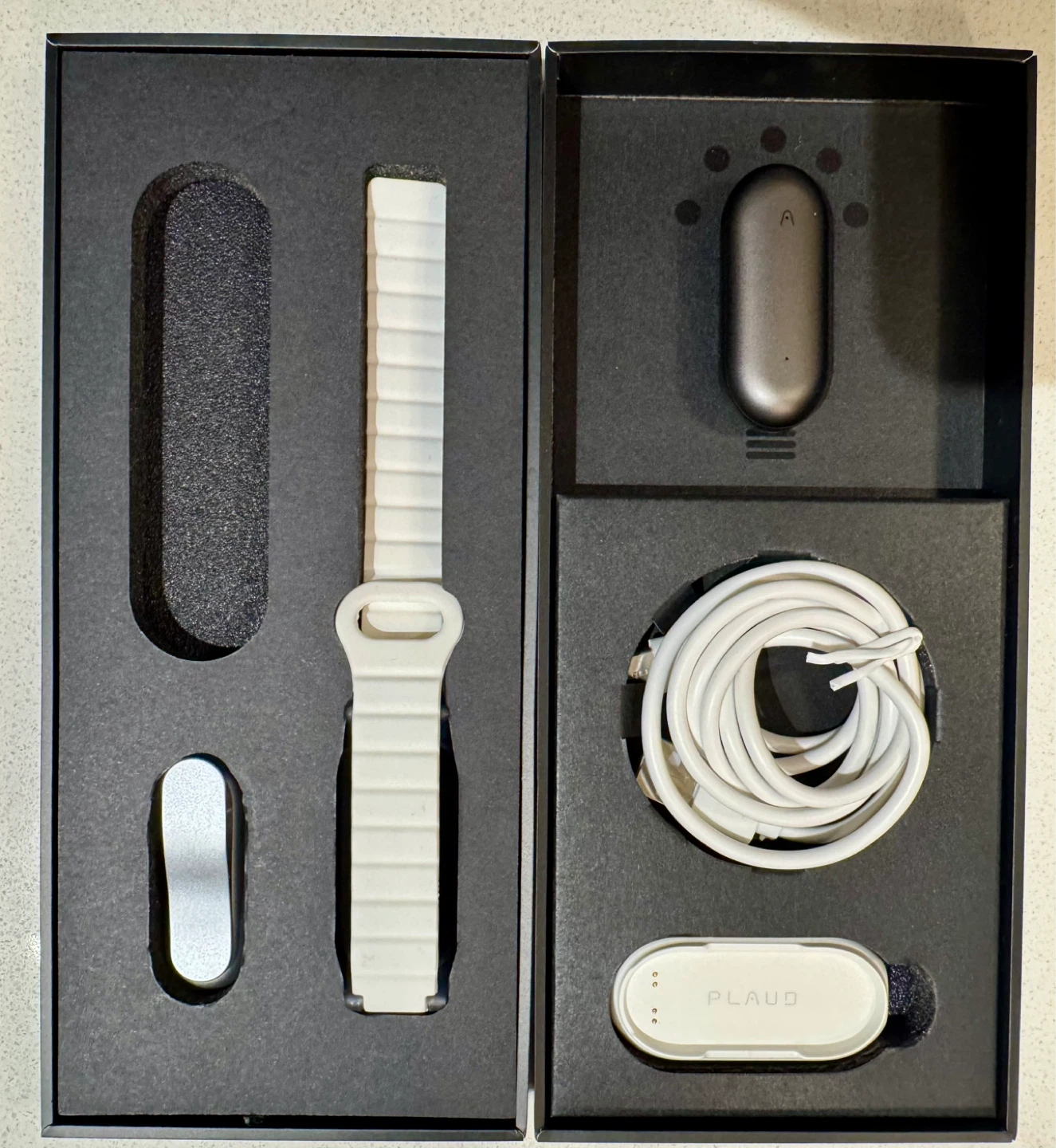 PLAUS NotePin Wearable AI Memory Capsule - Gray - photo 2