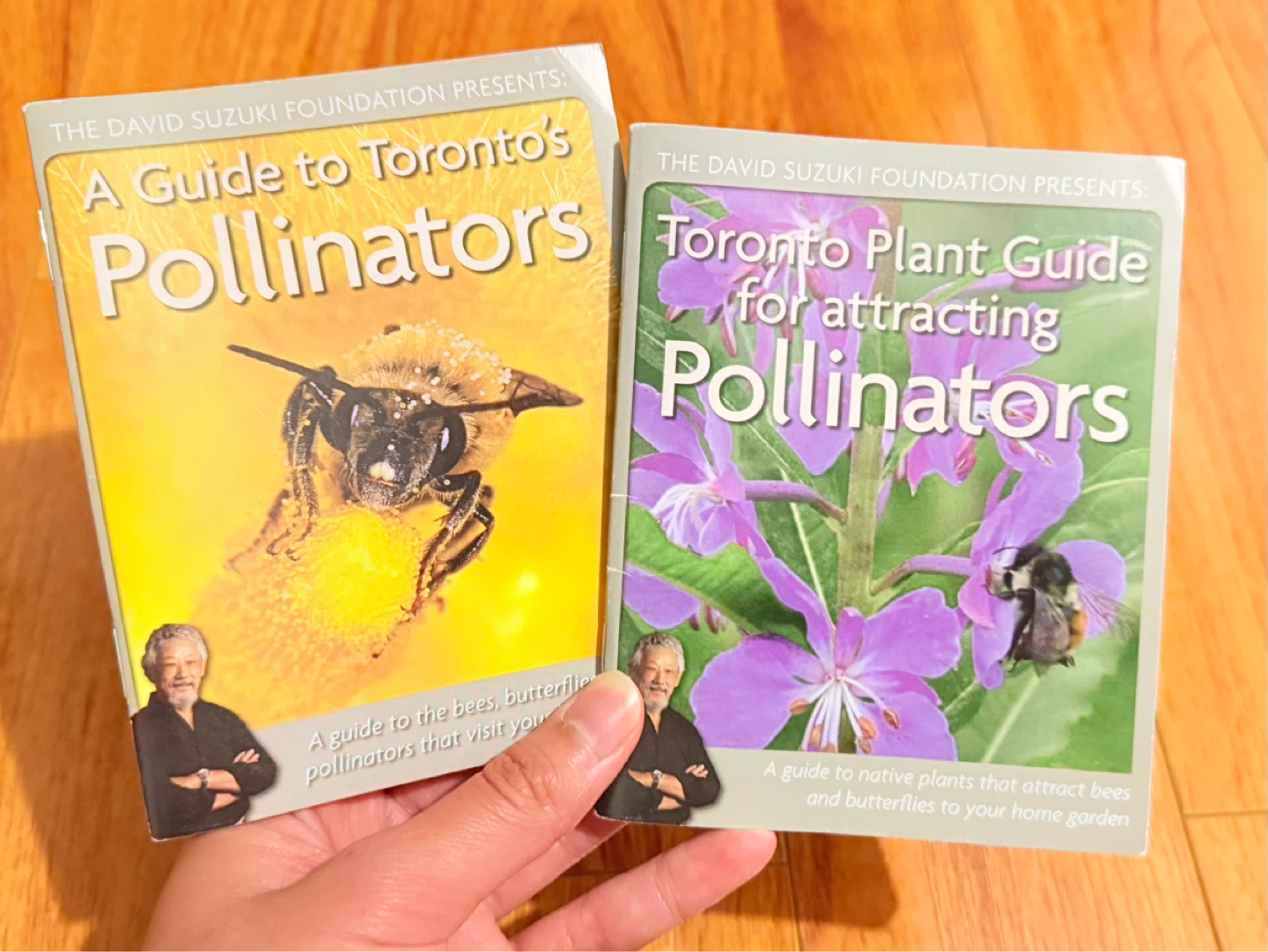 Toronto pollinator guides - David Suzuki Foundation
