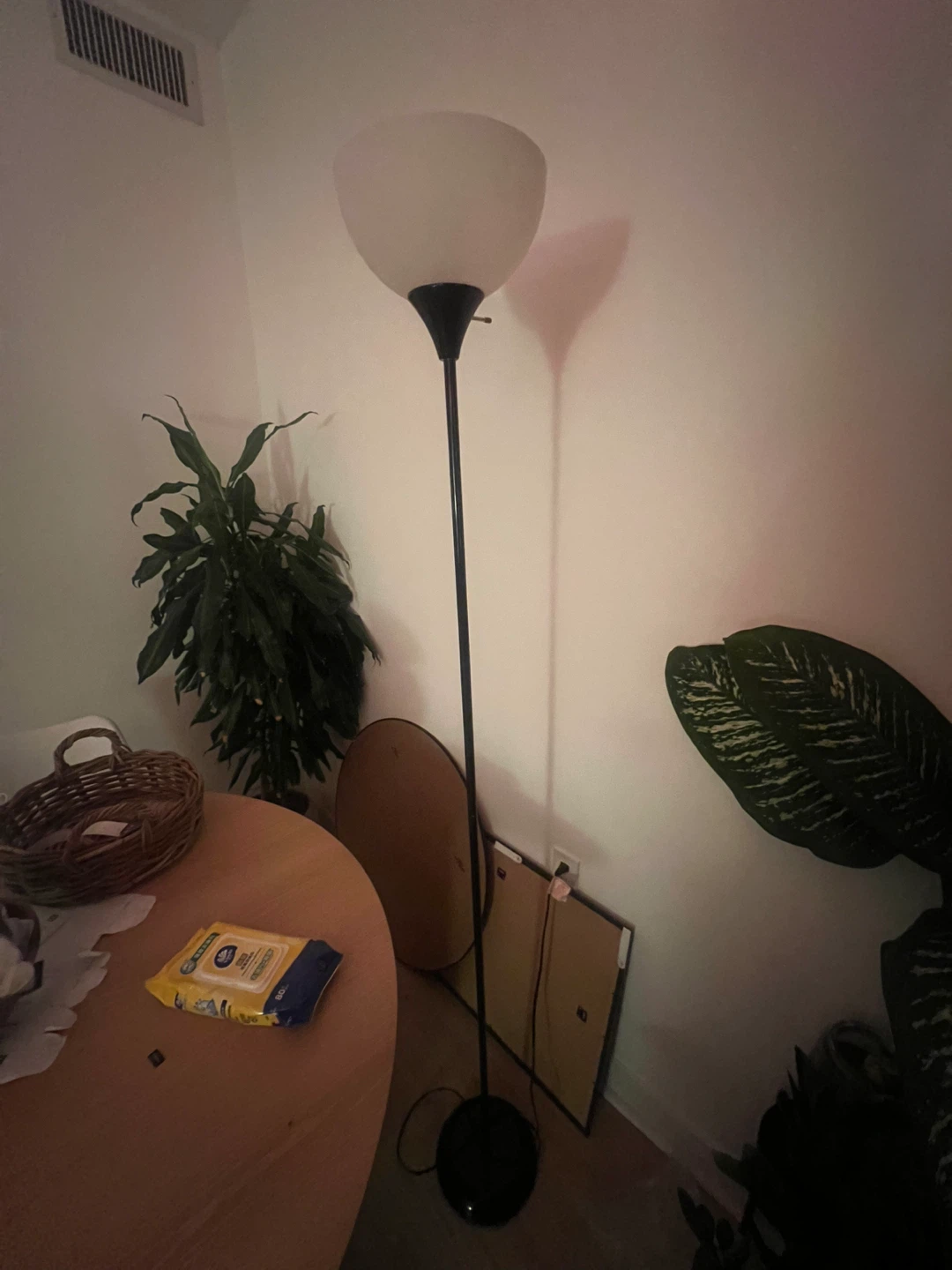 Floor Lamp (light bulb not included)