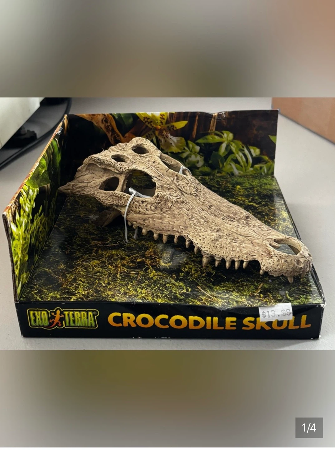 Exo Terra Crocodile Skull Decoration