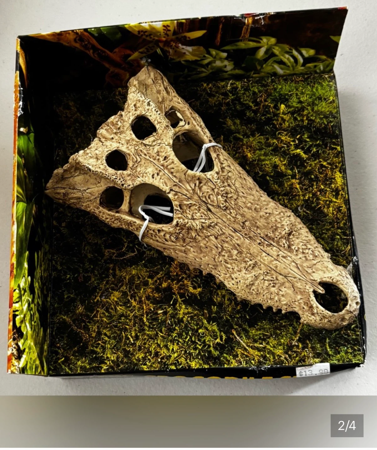 Exo Terra Crocodile Skull Decoration - photo 2