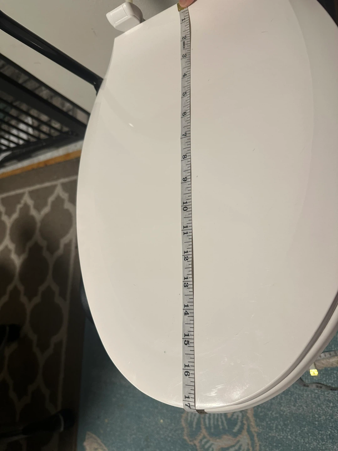 White Toilet Seat